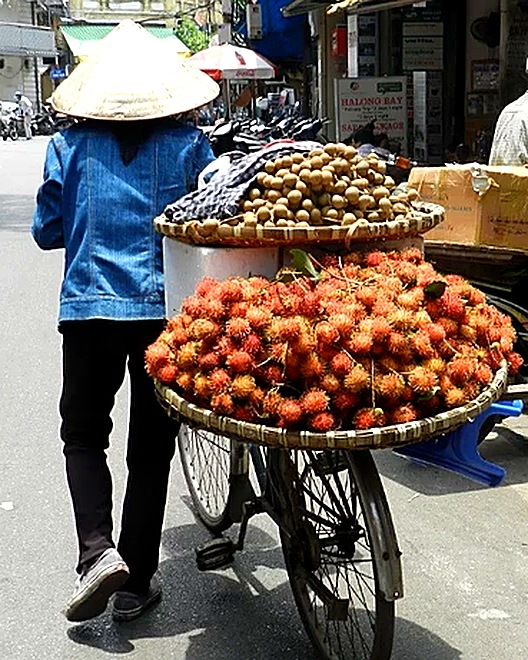Rambutan e longan legati alla bicicletta