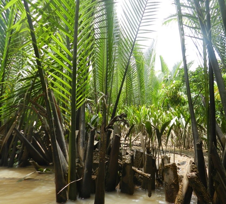 mille_sfumature_verde_012