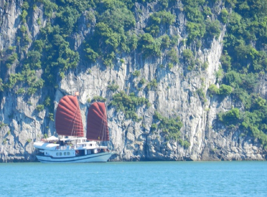 halog_bay_g_003