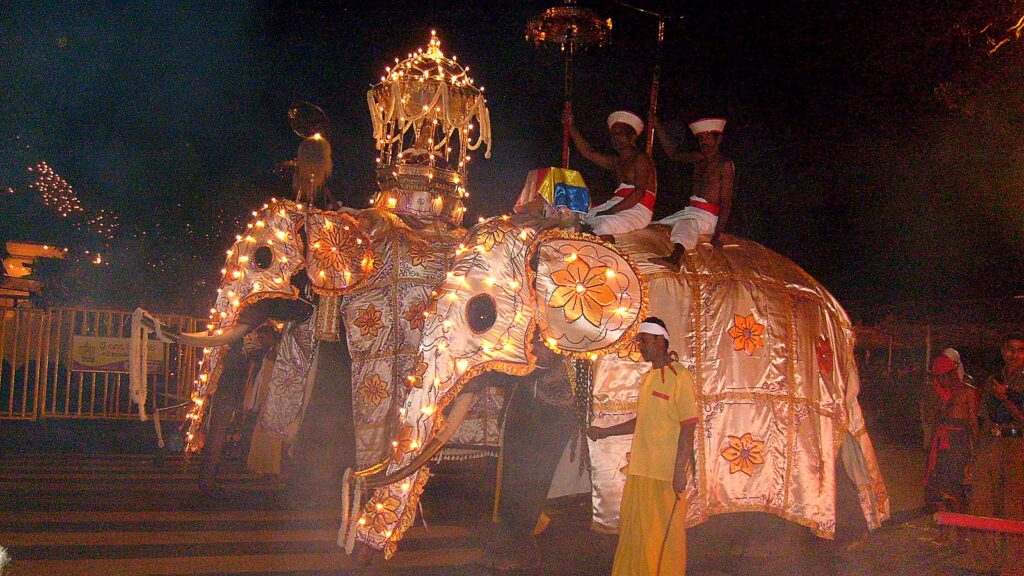 L'elefante Maligawa nella sua veste dorata, Kandy Esala Perahera