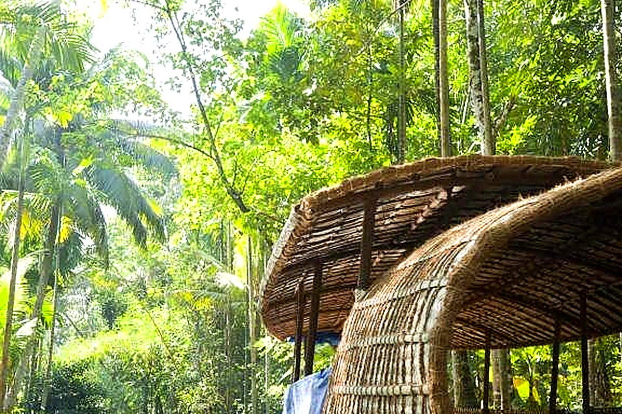 Houseboat tra il verde delle backwaters