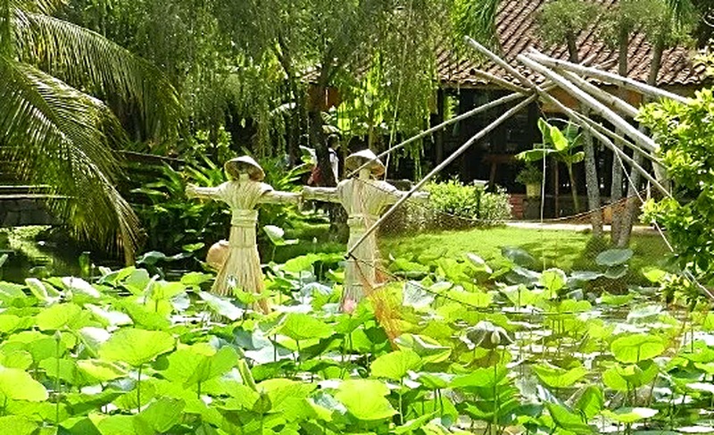 Stagno di loti in un giardino tradizionale vietnamita