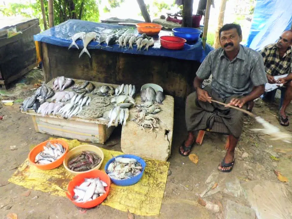Vendita di pesce sulla riva